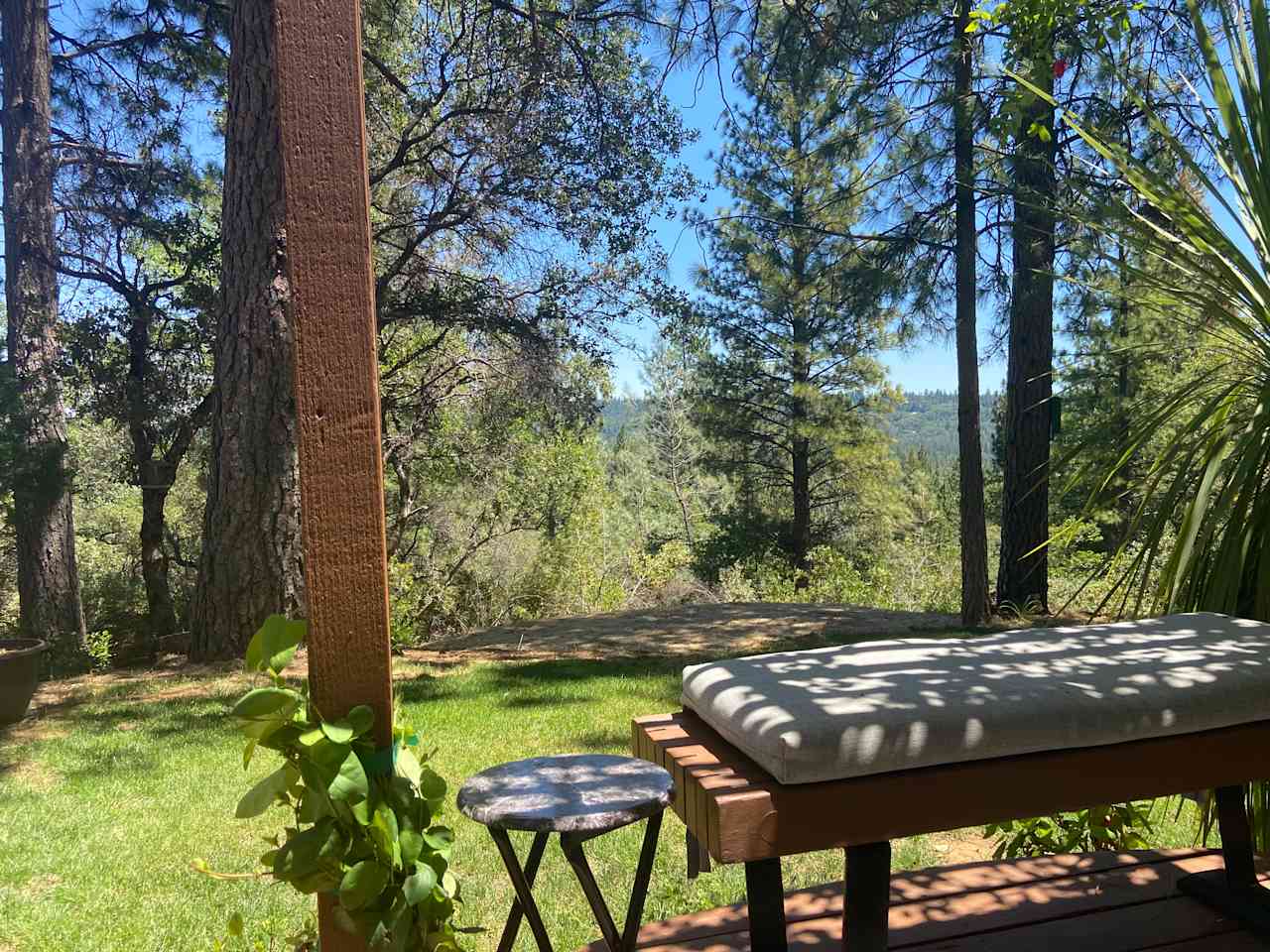 Peace in the Pines