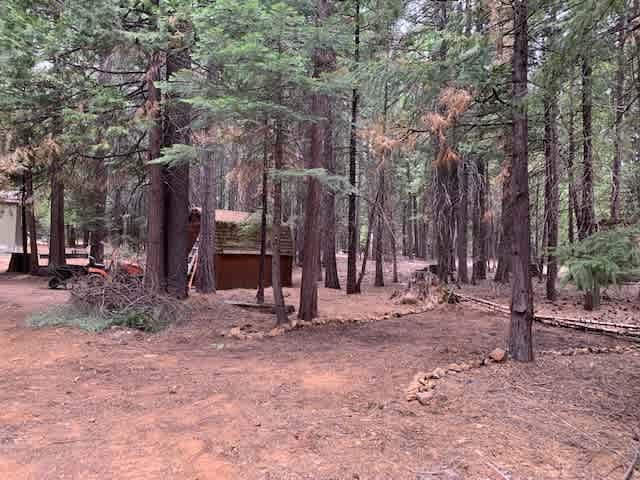 Campsite #1 - Gracie