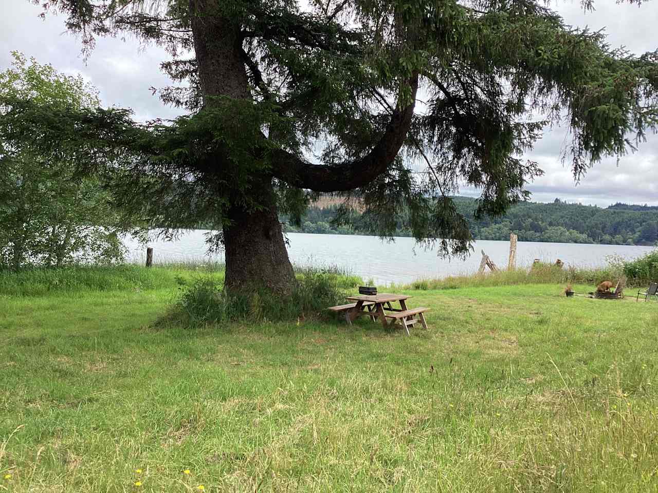 This is where you will be.  We have upgrade to a free standing gas BBQ, a new patio set with cushions, and hammocks.