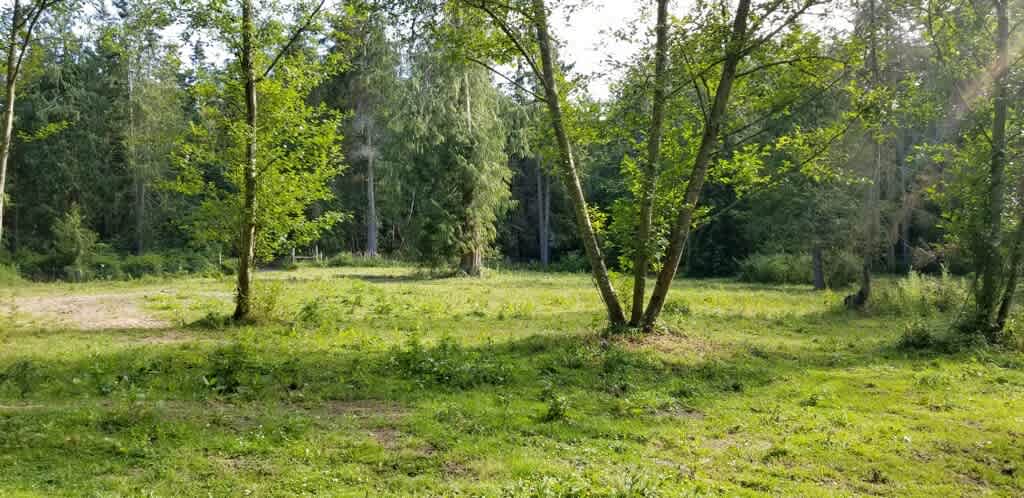 Site 1 Buck Rub . Open meadow leading to forested walking trail.