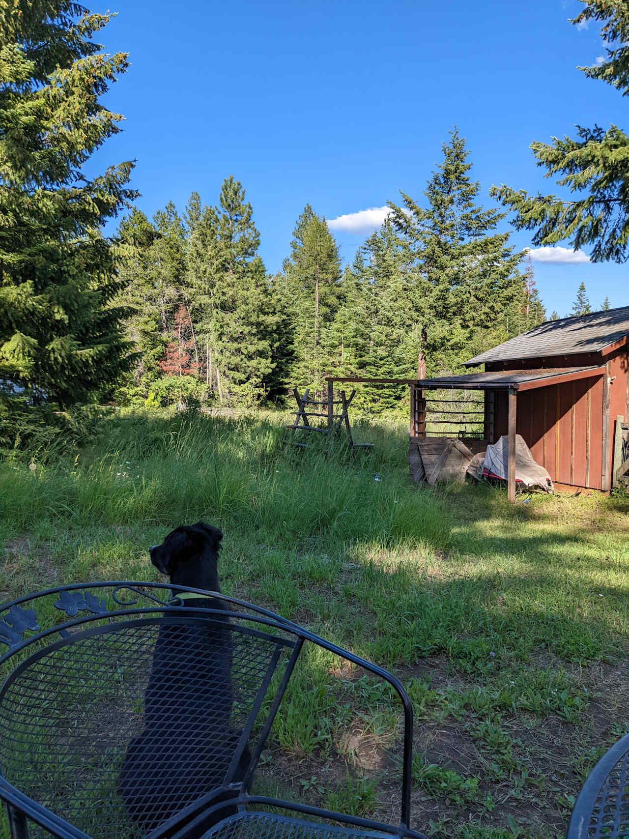 David's Hodge Podge Lodge Camping