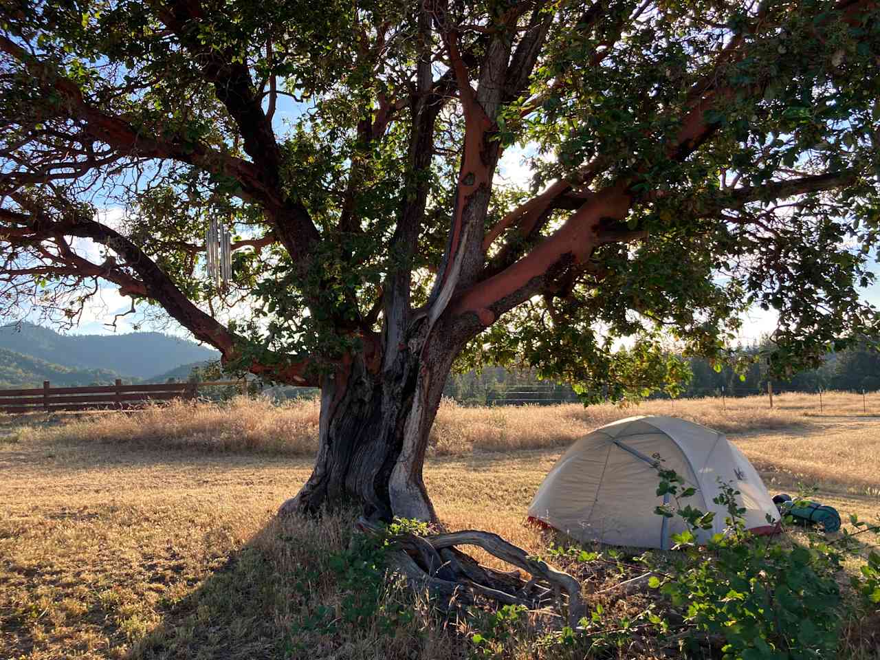 Lane Creek Reserve