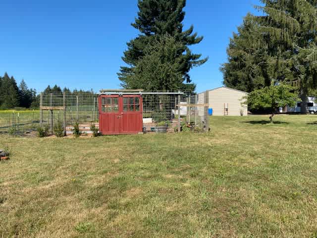 Come explore the garden or Blueberries.  This is where the Red Door Adventures name came from, our love of gardening 