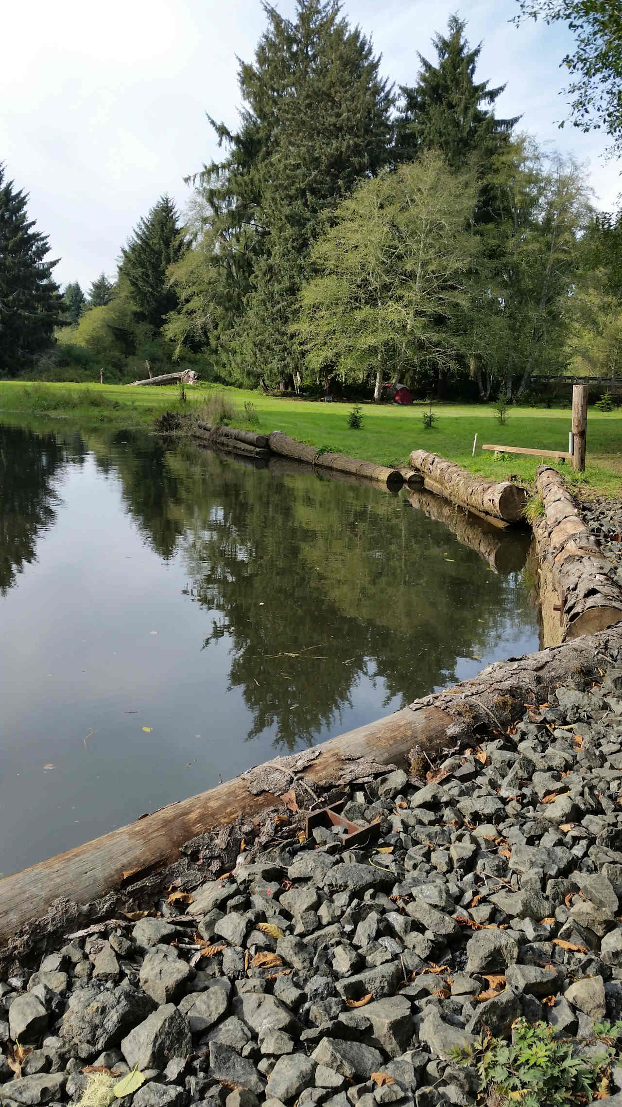 Williams Park campground