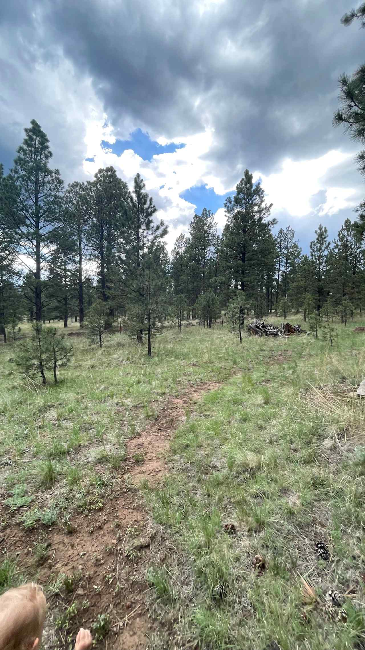 DZ Ranch Camps