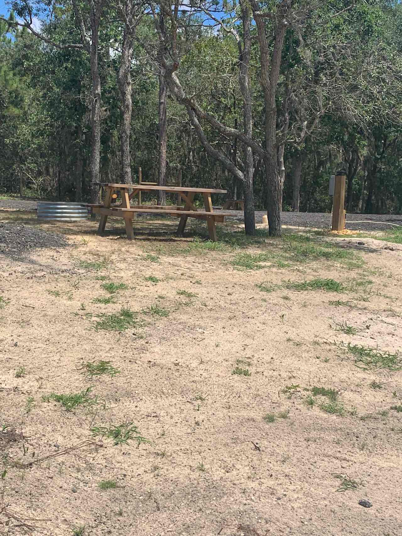 Tide and Timber Too
