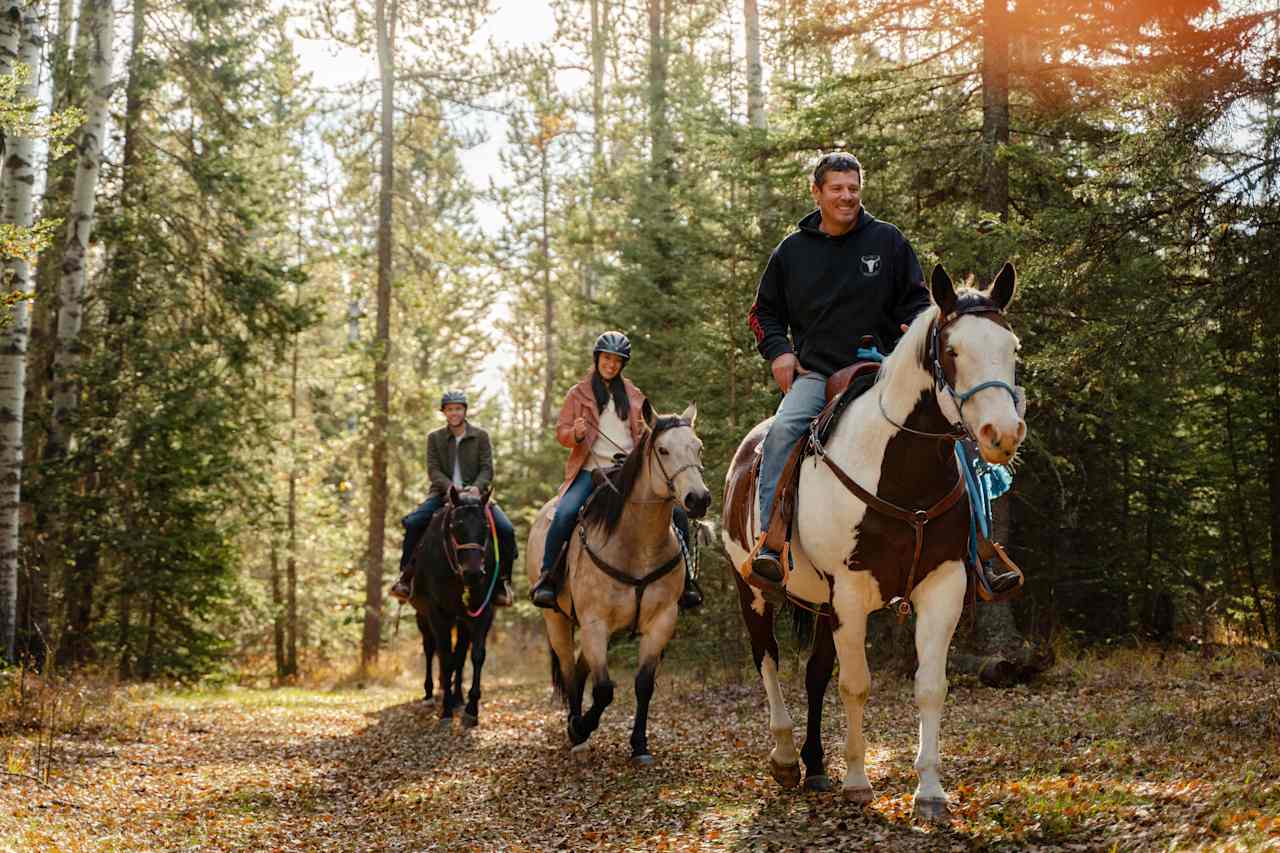 Equestrian programs