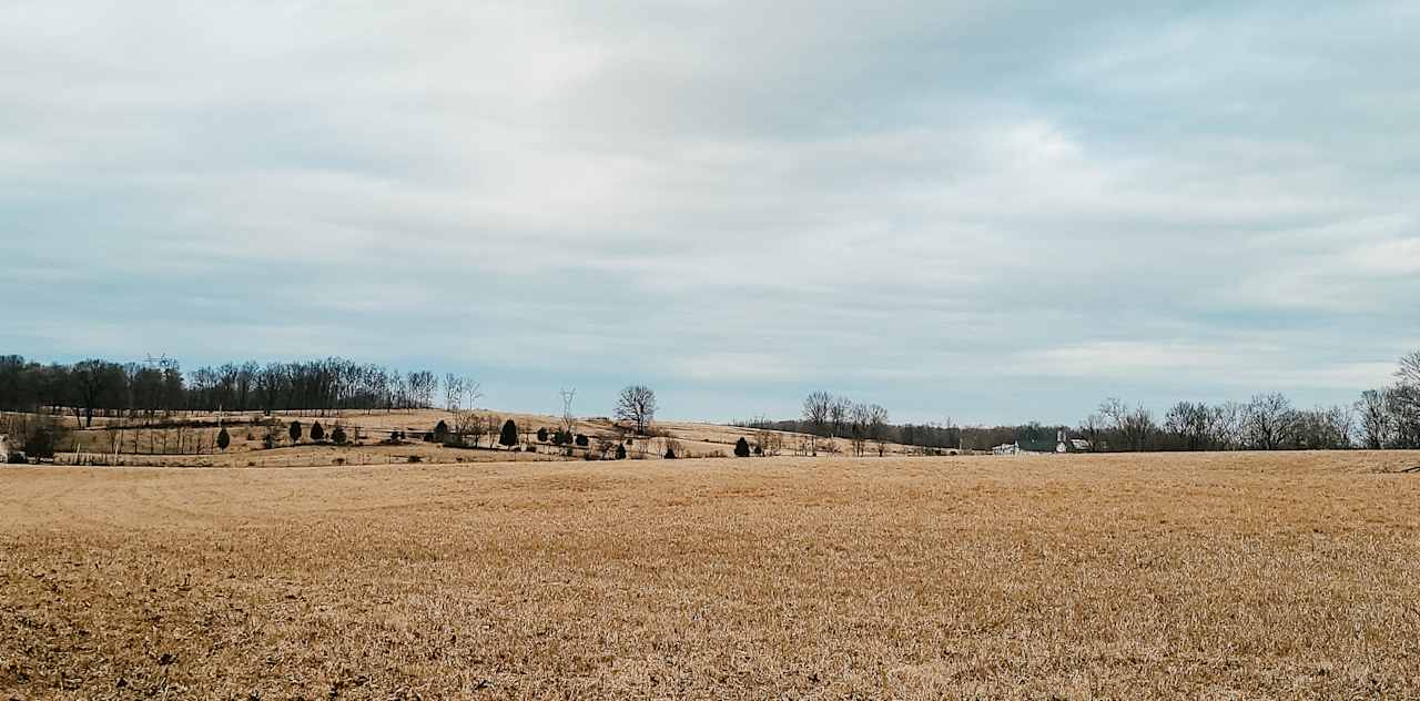This area is in our back field, by the tobacco farm. This photo was taken in the winter so it's normally a lot greener and the view is beautiful.