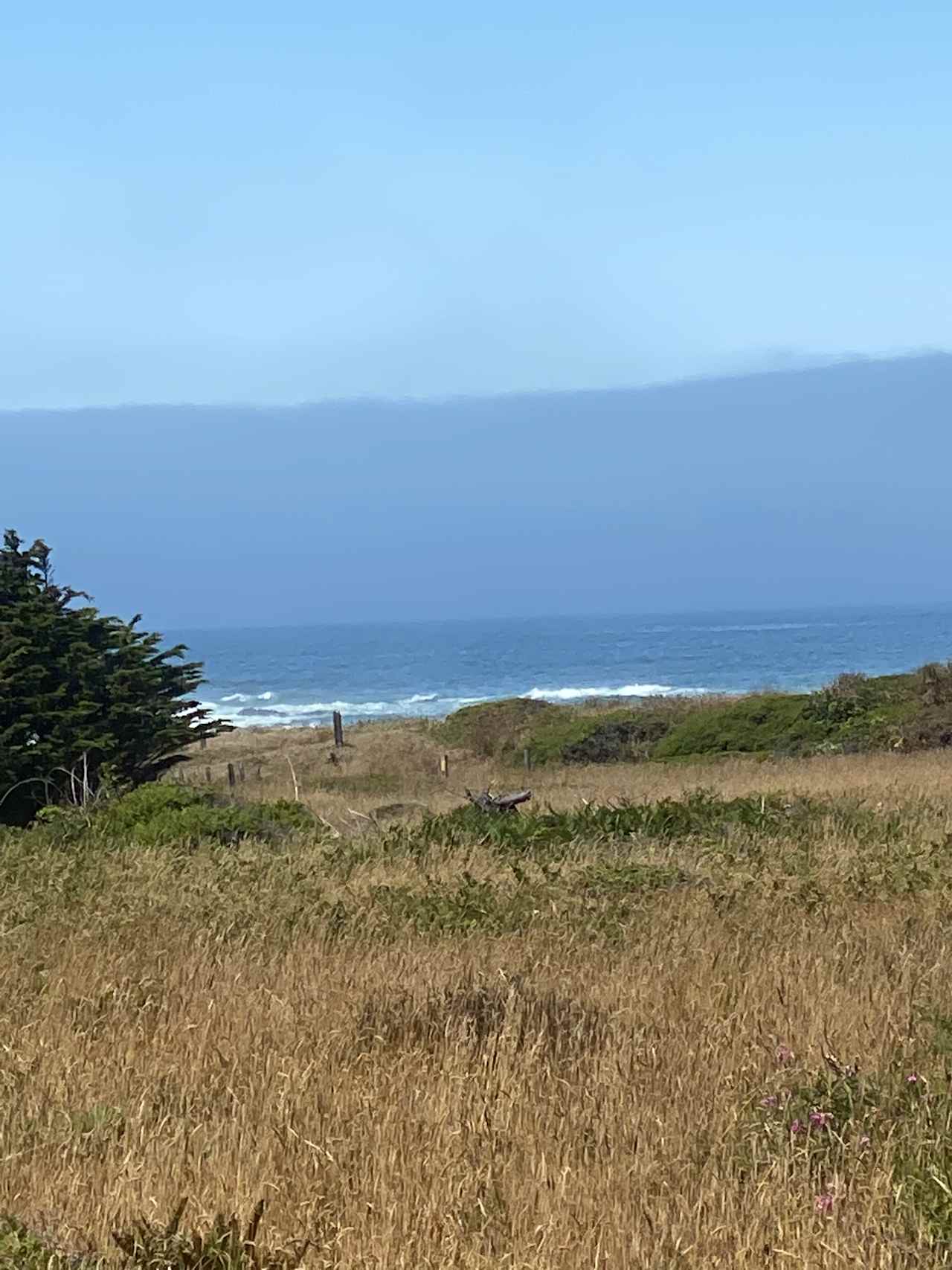 Private Acreage on the Pacific