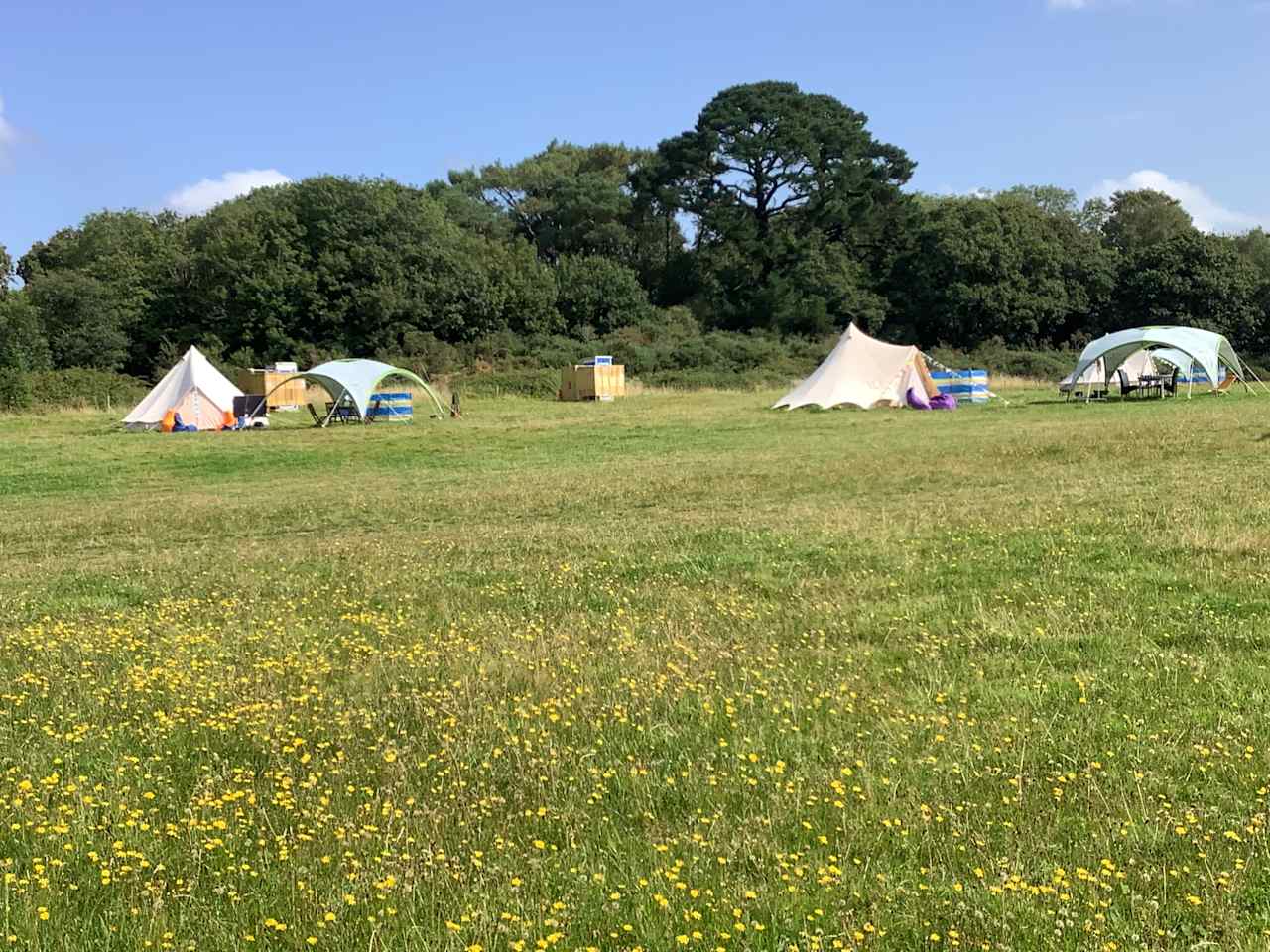 West Holme Glamping, Dorset