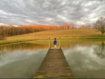 Views of woods, pond, and sunrise