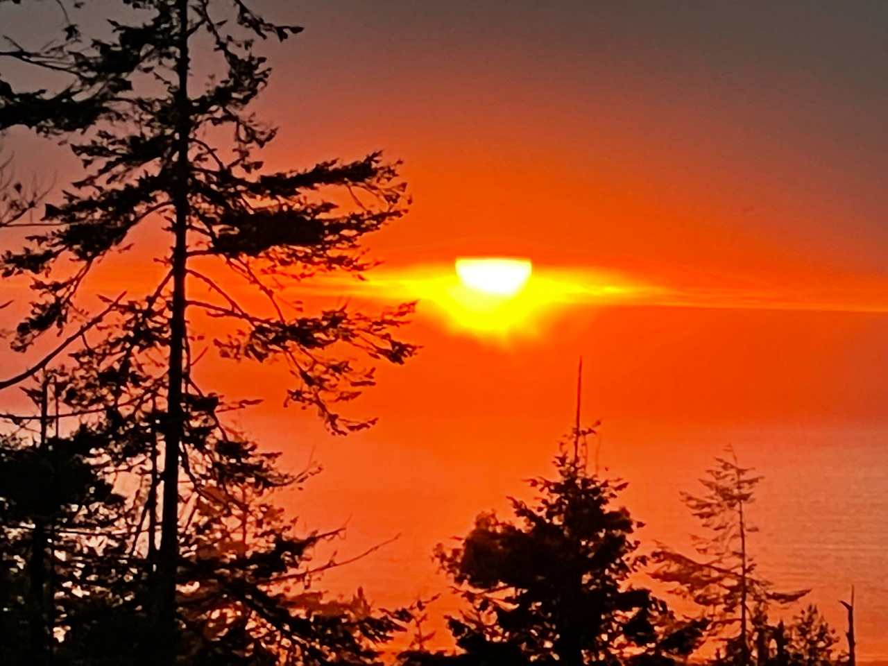 Ocean-view Redwood Forest Glamping