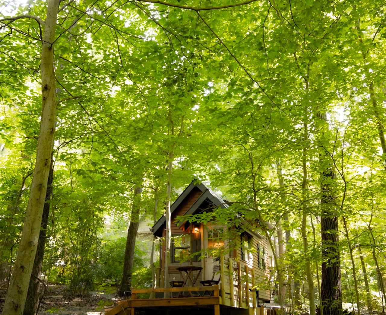 The Birdhouse Tiny Home