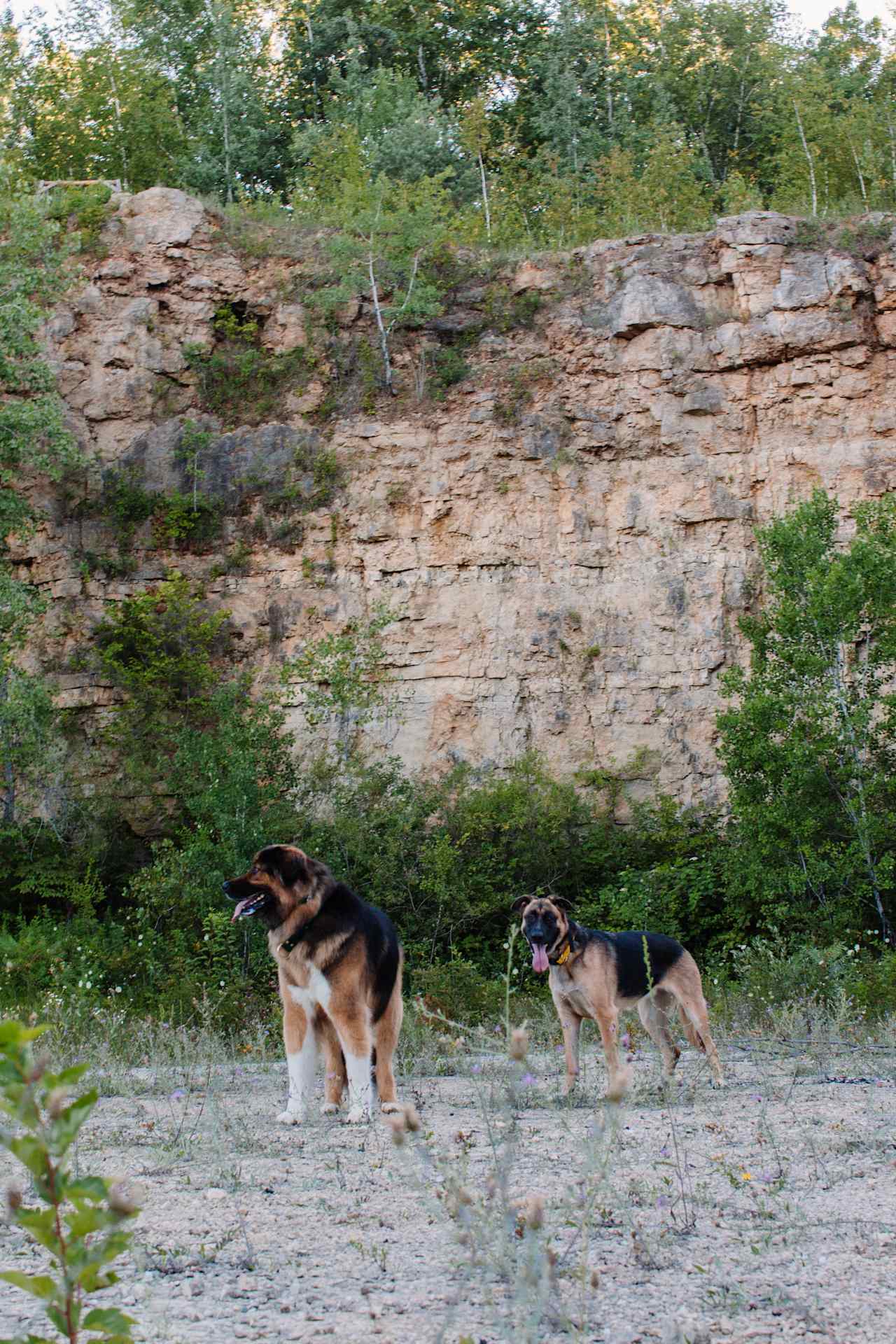 Quarry in the Mississippi Bluff