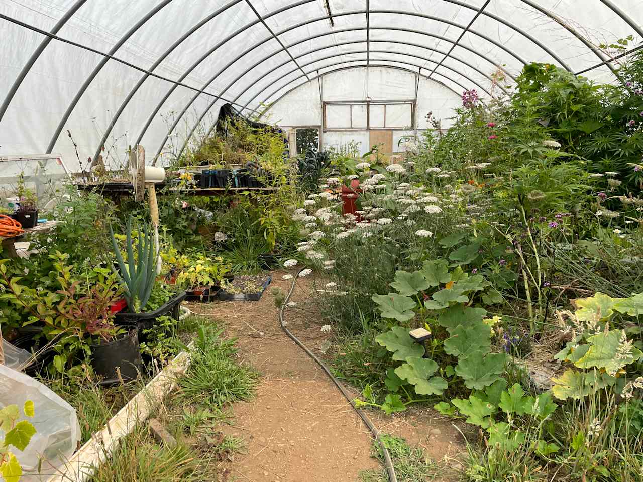 Ossia Village Farm