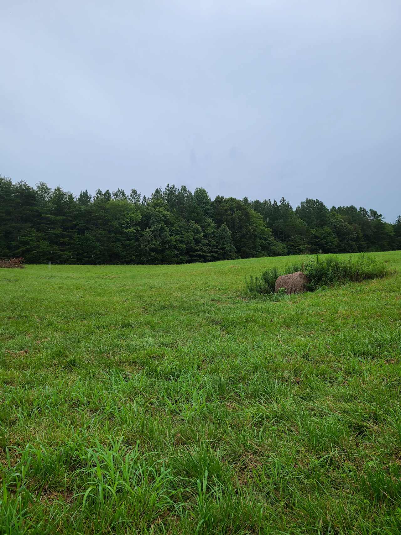 Golden pond Glamping