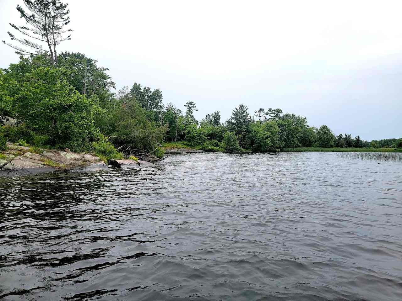 Nepenthe Island