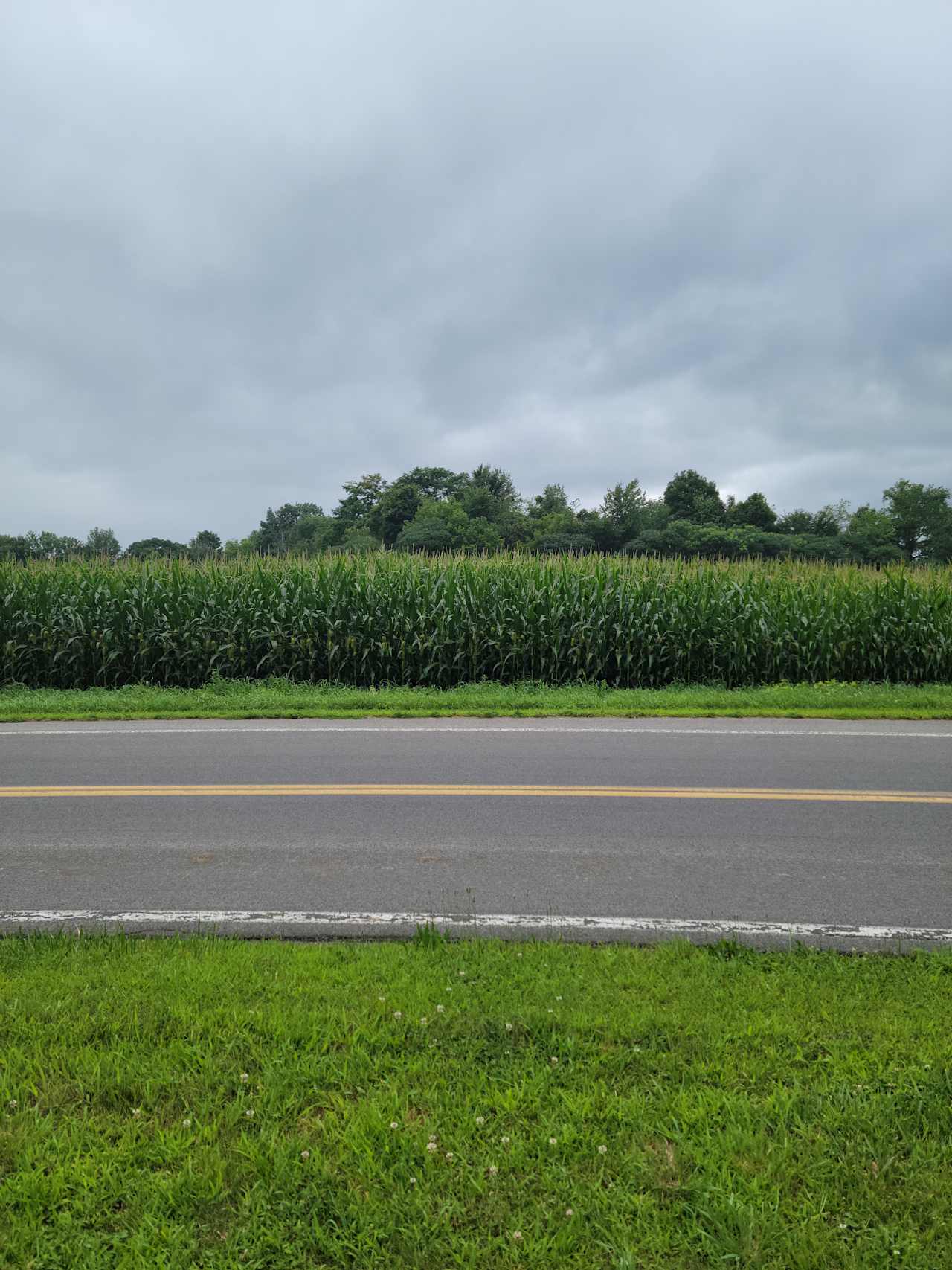 1566 Q.C.A Quiet Country Acres