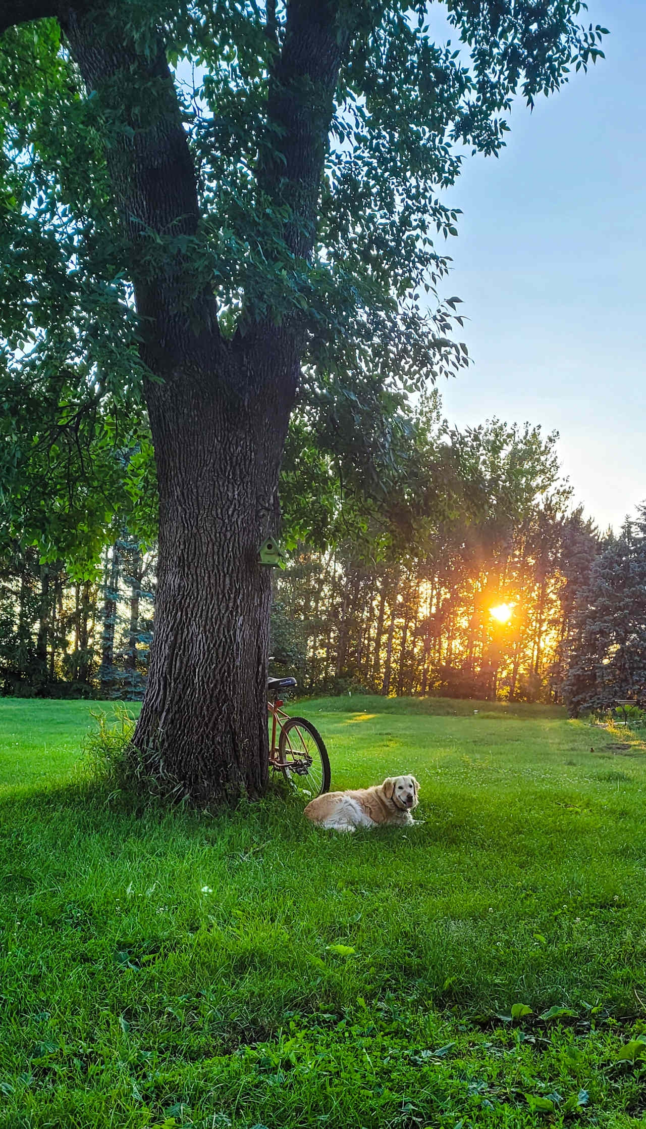 Fischer's Rolling Green Farm