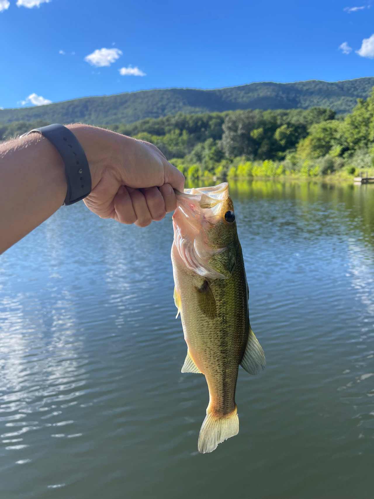 Pastimes on Passage Creek Ranch