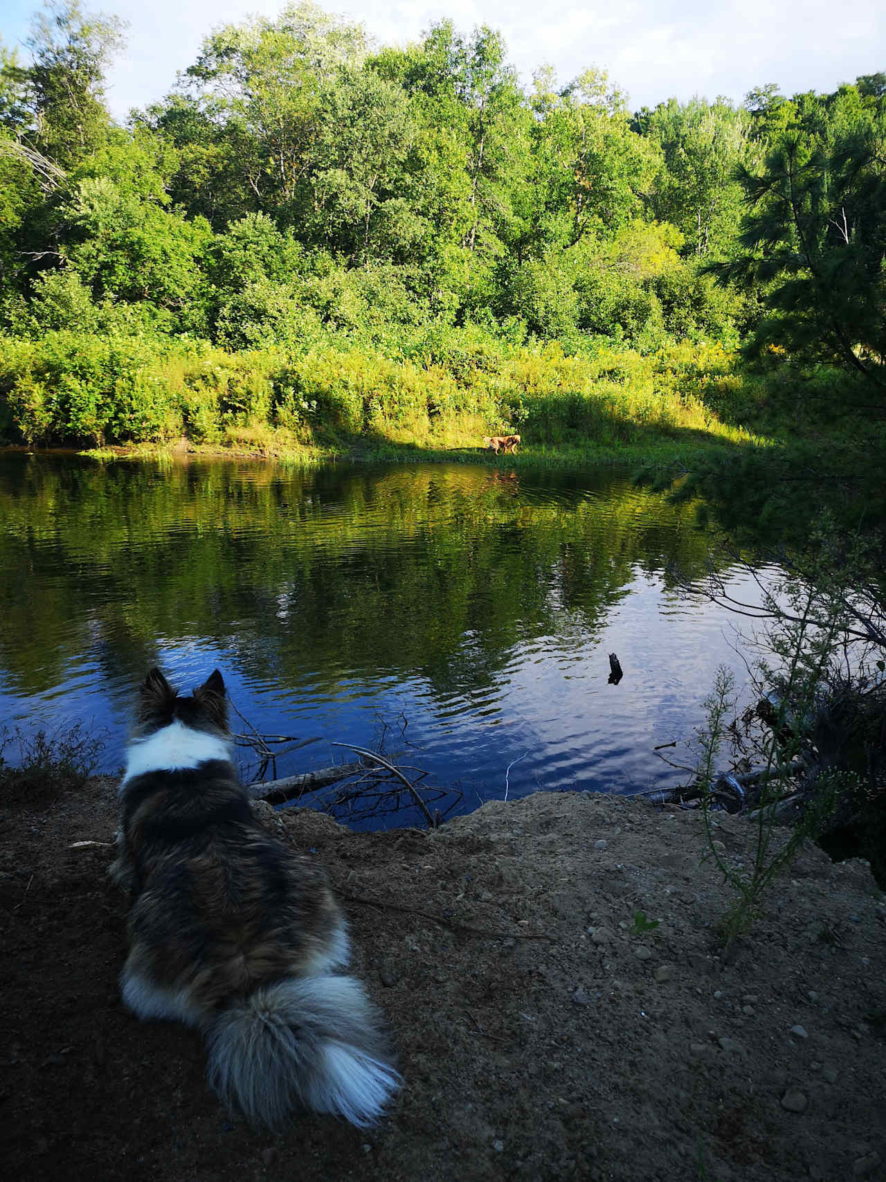 River Gettaway