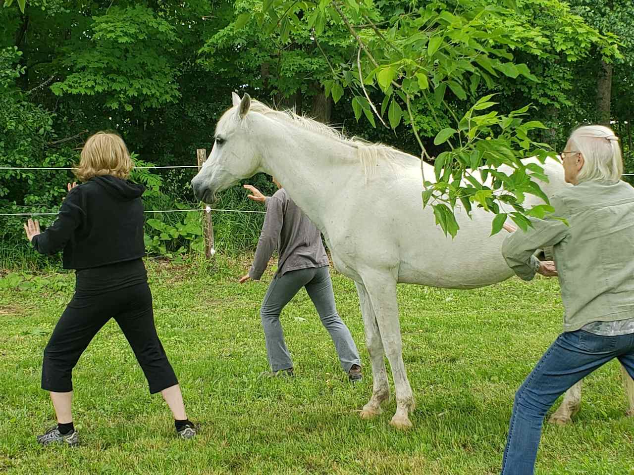 Heart and Heritage Stables