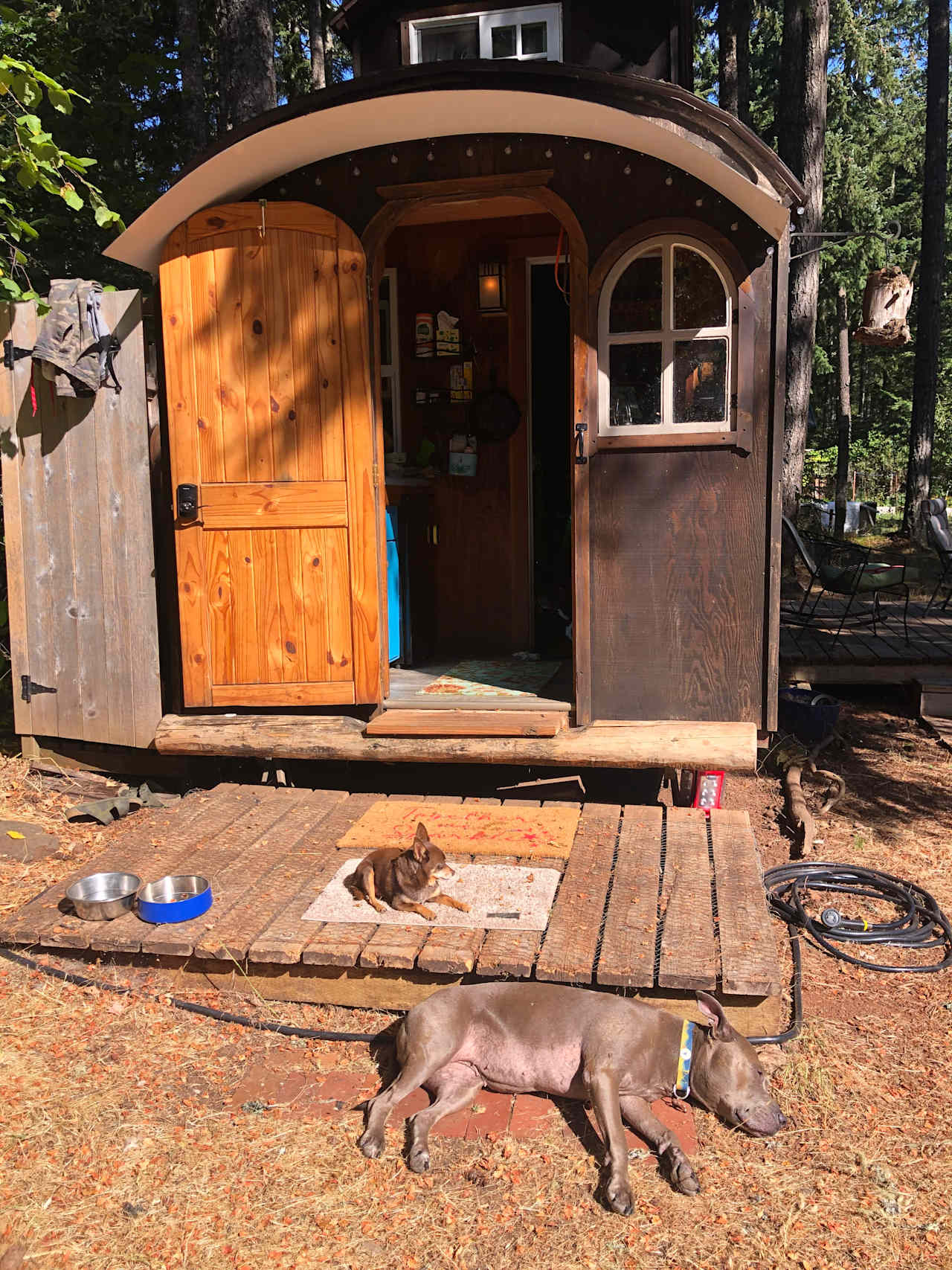 Pup paradise!