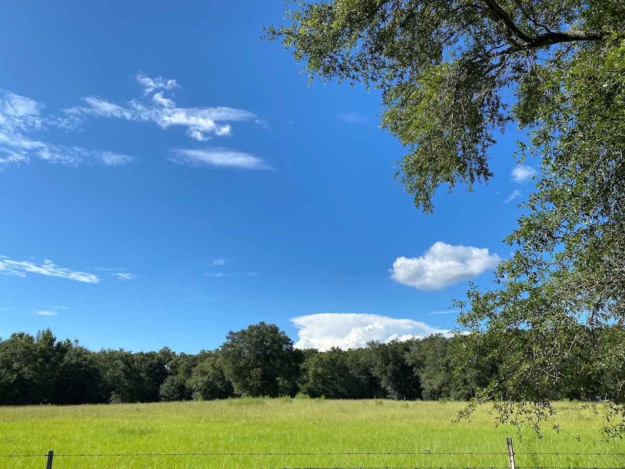 View of back pasture