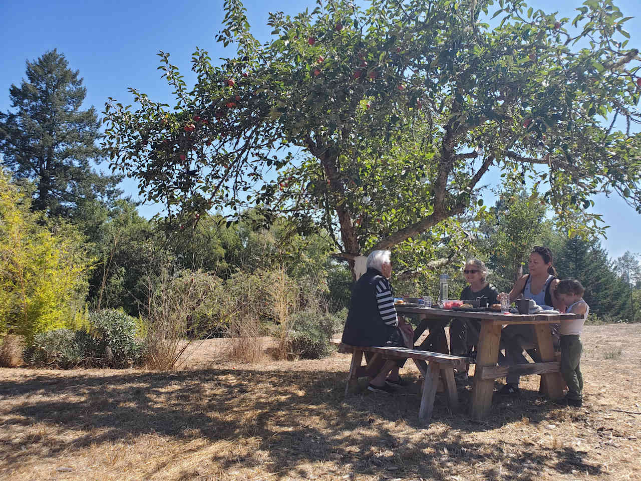 Rancho Laslendini