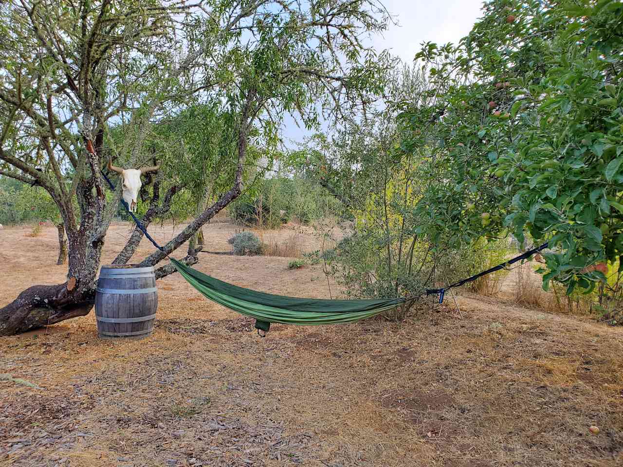 Rancho Laslendini