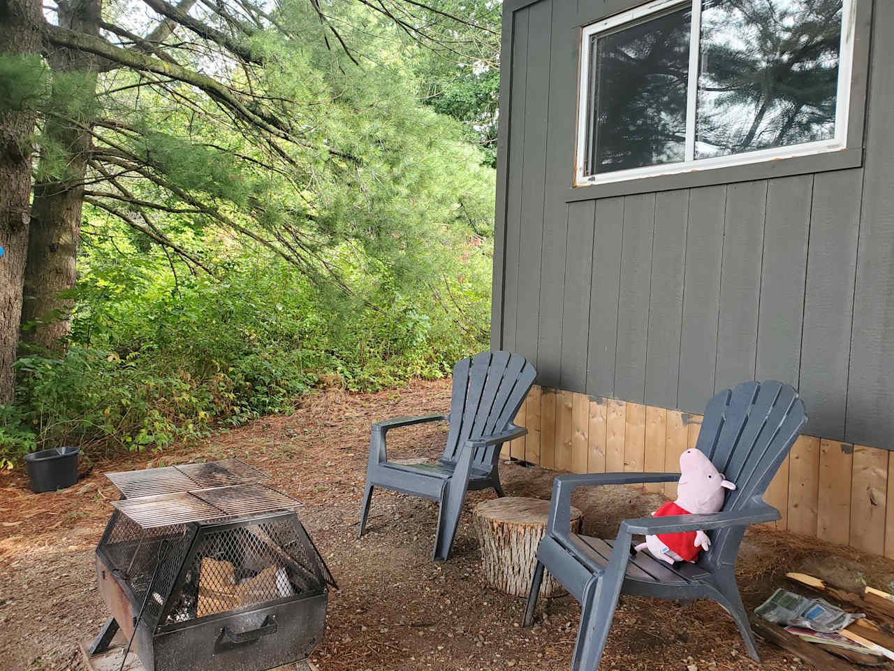 Bruce Trail Bunkie