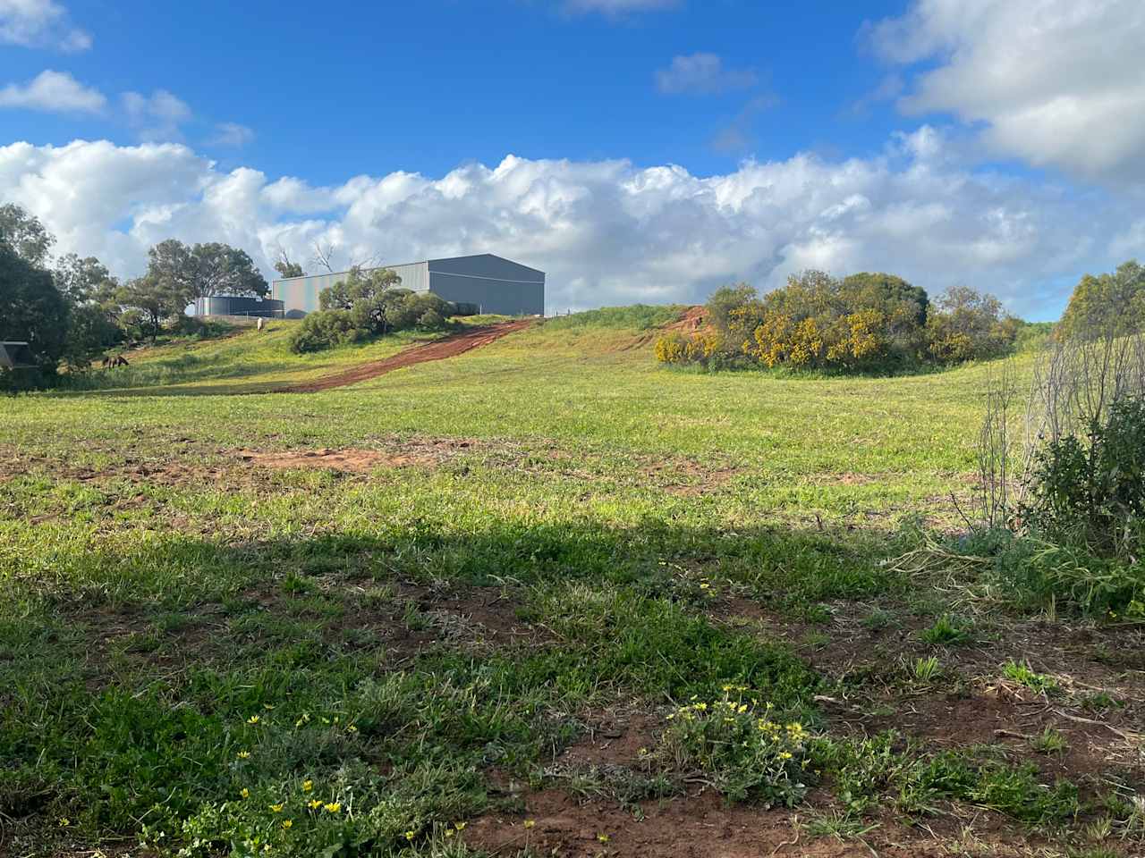 Hill River Farm