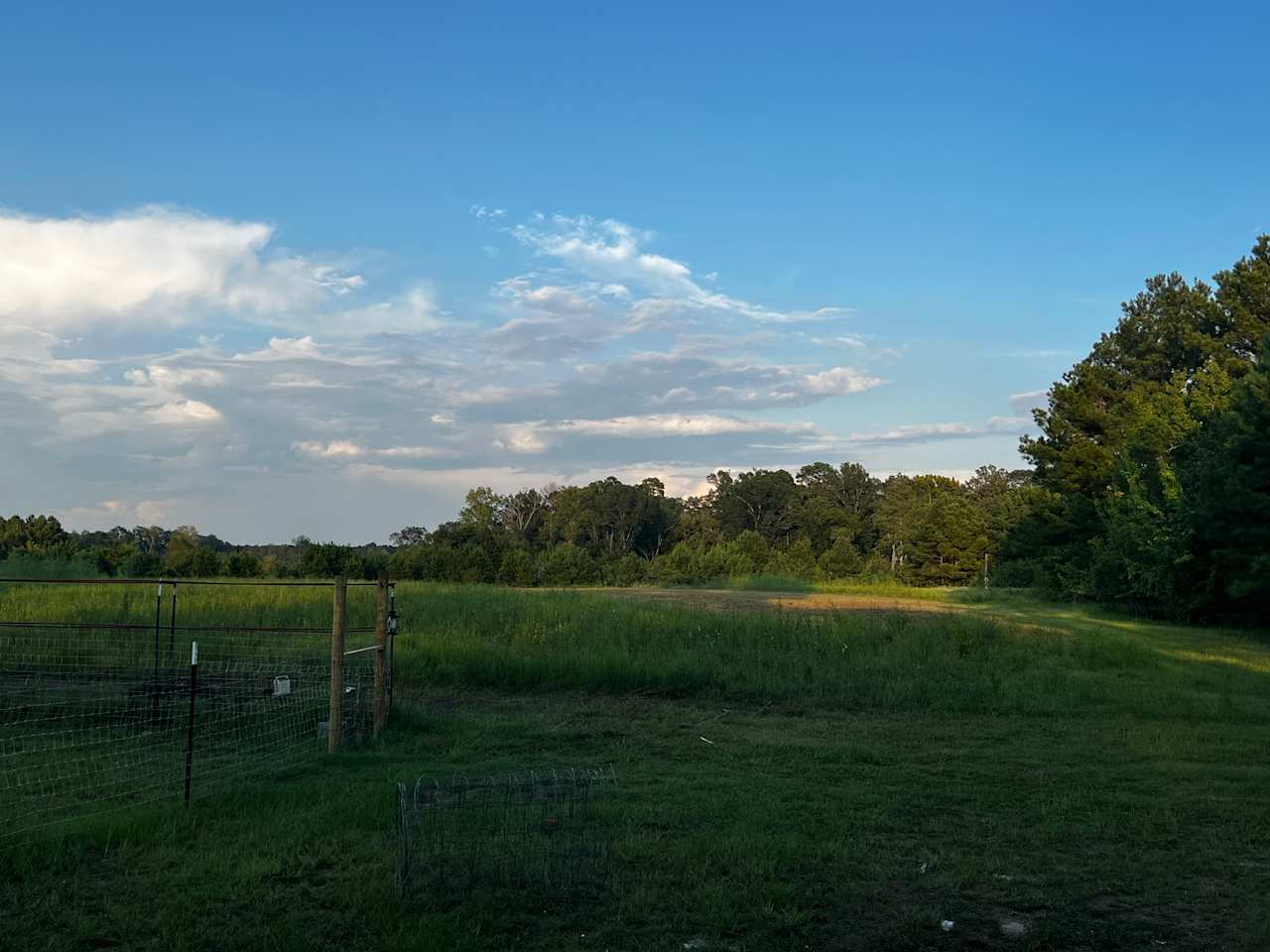 Front of the property, pasture. 