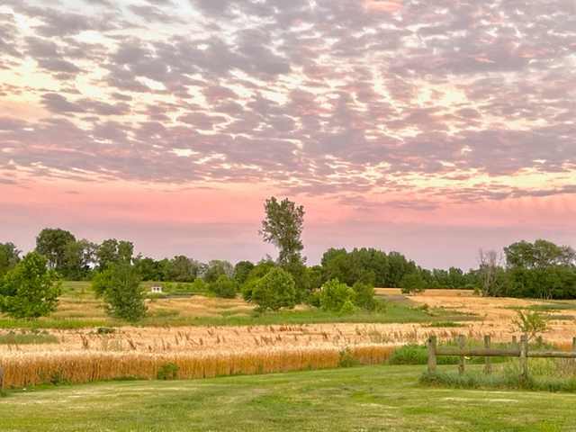 GloryField Hospitality Farm
