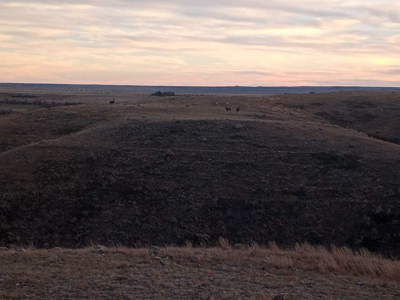 Heritage Hills Farm