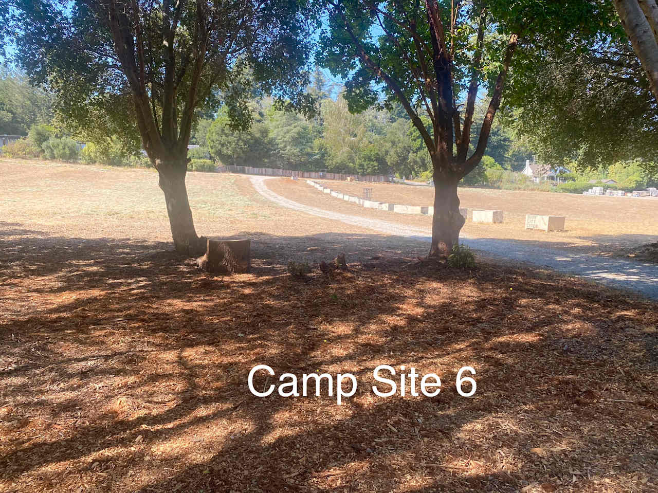 Felton Open Space Camp Sites