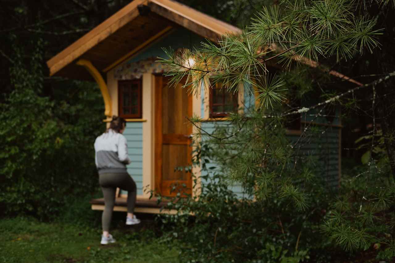 Hidden among the trees