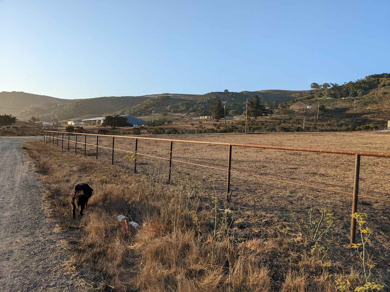 Organic farm and horse camp
