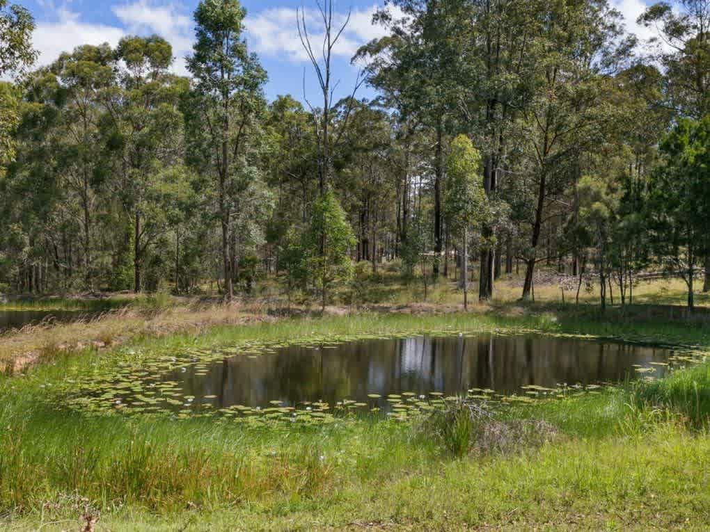 One of 2 dams with beautiful lillypads 