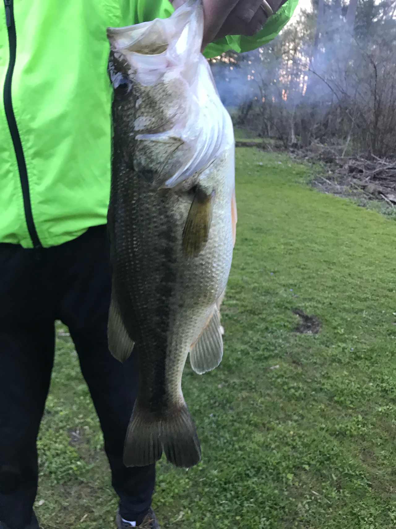 Fish caught by family member in Rock Creek.