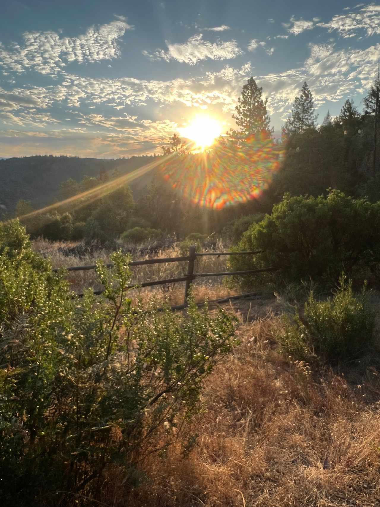 Sunrise from Fir Camp Ground