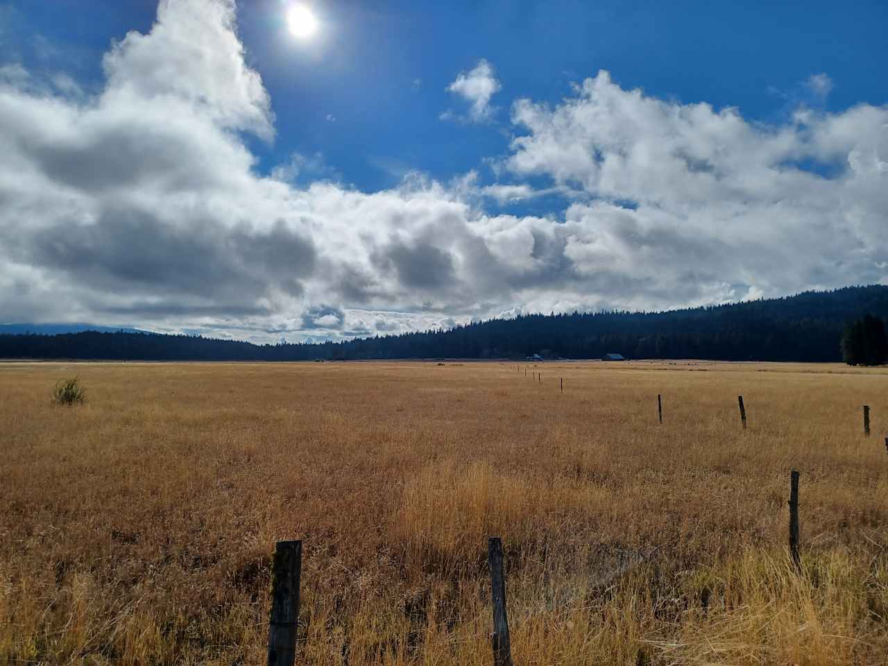 Horse Riding,Snowmobiling, ATV for miles...