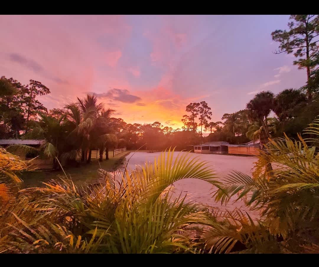 Sunset on our equestrian facility...