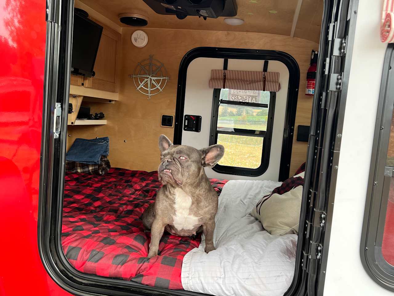 Zenith Vineyard Camping