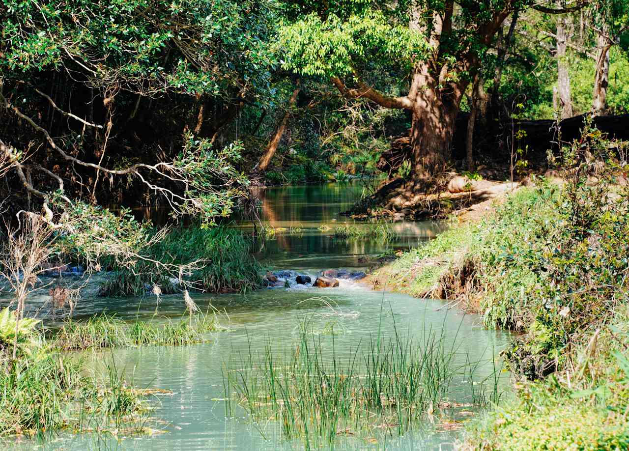 rowlands creek