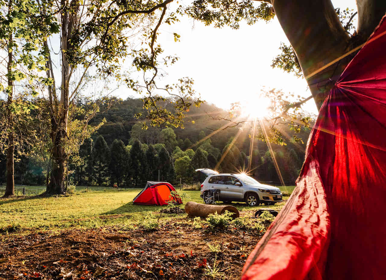 Rowlands Creek Camp Area