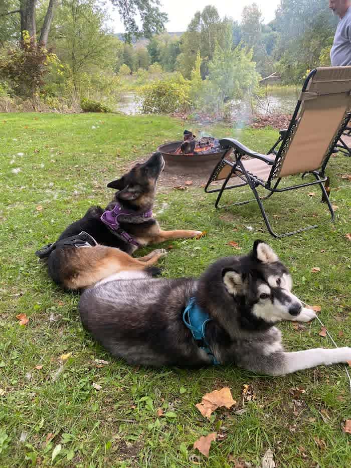 Riverside Camping Site