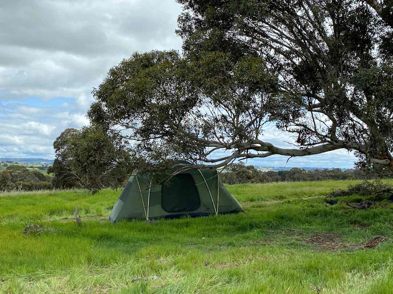 BrookHempTon Tree Farm