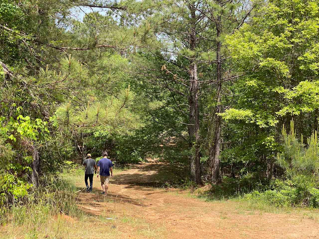 Star Point Reserve