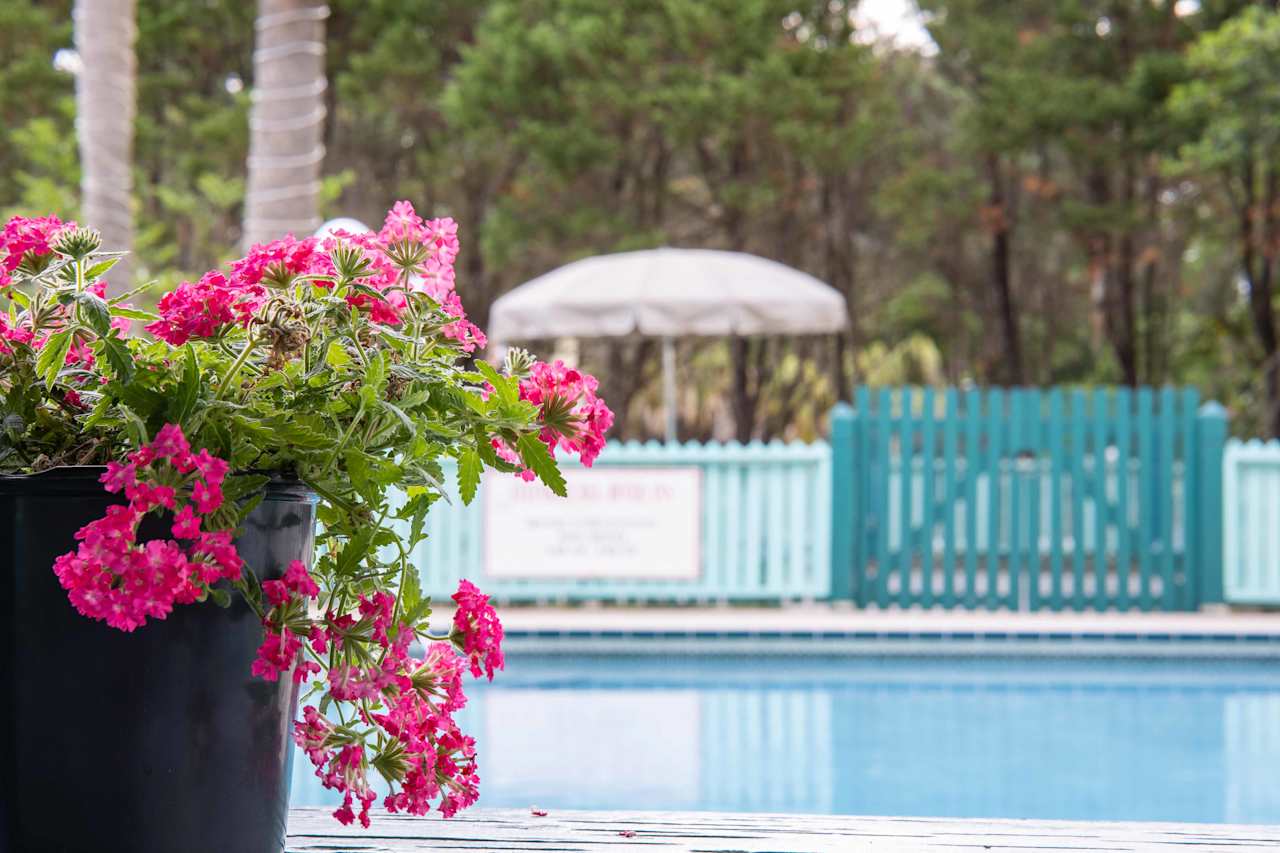 Swimming pool is very refreshing